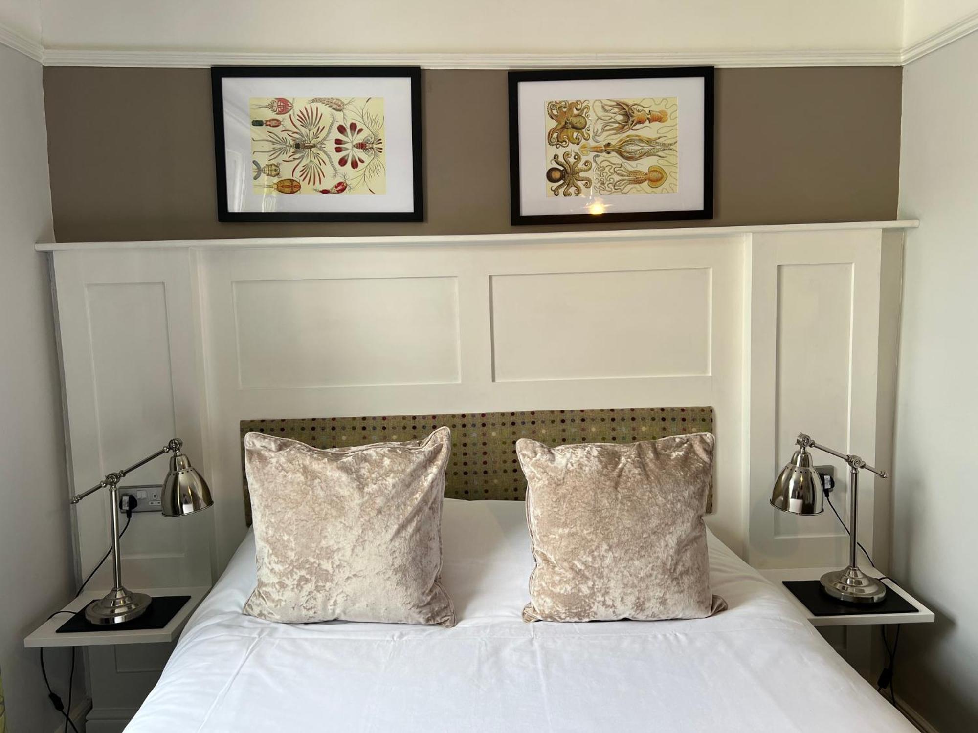 몰든 White Horse B&B 외부 사진
