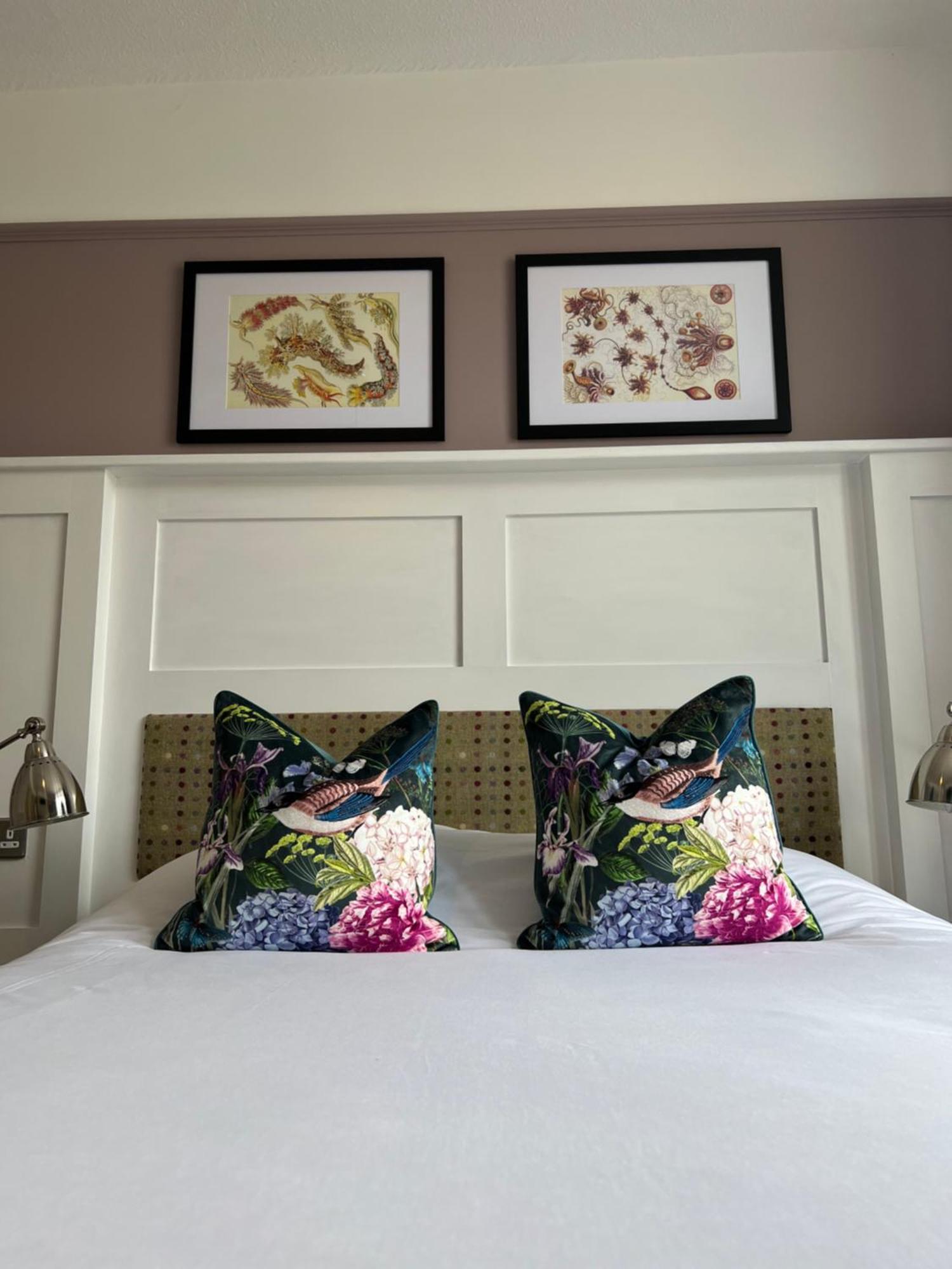 몰든 White Horse B&B 외부 사진