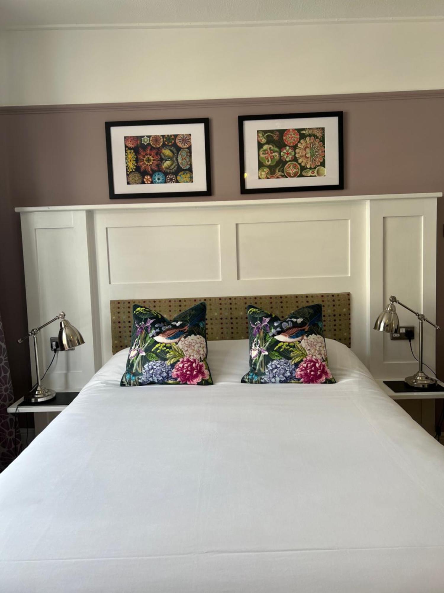 몰든 White Horse B&B 외부 사진