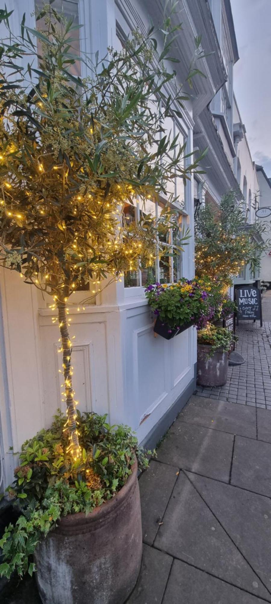 몰든 White Horse B&B 외부 사진