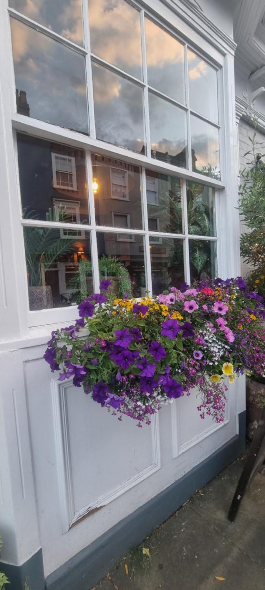 몰든 White Horse B&B 외부 사진