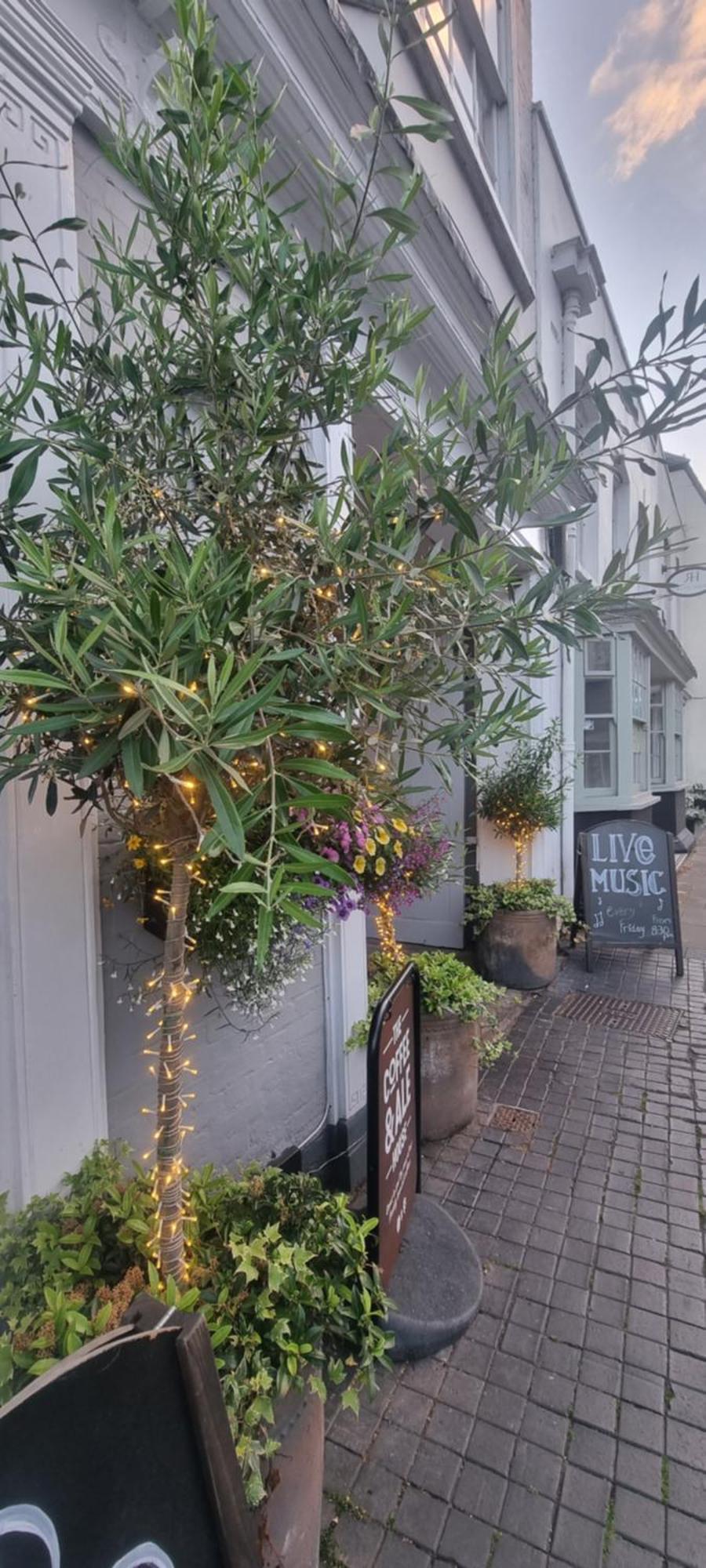 몰든 White Horse B&B 외부 사진